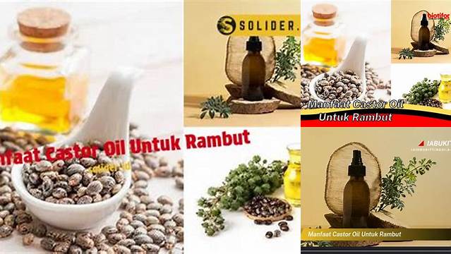 Temukan Manfaat Minyak Jarak untuk Rambut yang Jarang Diketahui