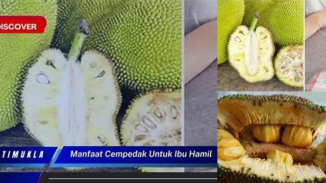 Temukan Manfaat Cempedak untuk Ibu Hamil yang Jarang Diketahui
