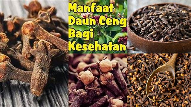 Temukan Manfaat Cengkeh Bagi Kesehatan yang Jarang Diketahui