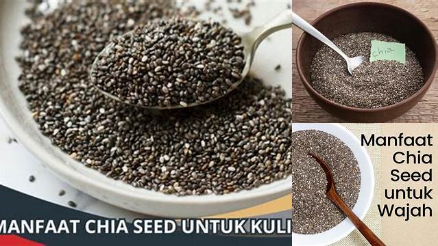 Temukan 10 Manfaat Chia Seed untuk Kulit yang Jarang Diketahui