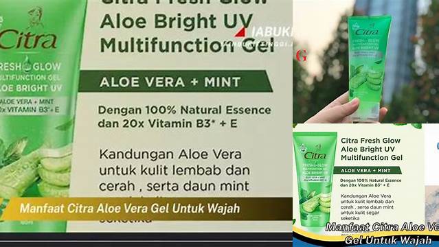 Temukan 10 Manfaat Citra Aloe Vera Gel yang Jarang Diketahui