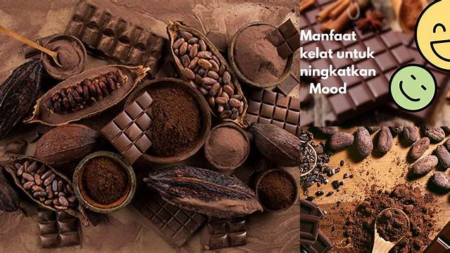 Manfaat Cokelat untuk Mood: 5 Rahasia yang Jarang Diketahui