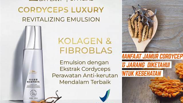 Temukan 9 Manfaat Cordyceps untuk Wajah yang Jarang Diketahui