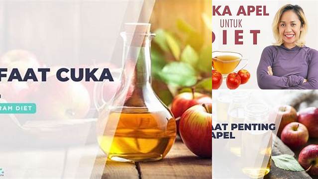 8 Manfaat Cuka Apel untuk Diet, Turunkan Berat Badan Secara Alami dan Efektif
