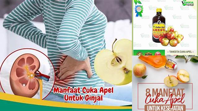 8 Manfaat Cuka Apel untuk Ginjal, Batu, Infeksi & Kesehatan