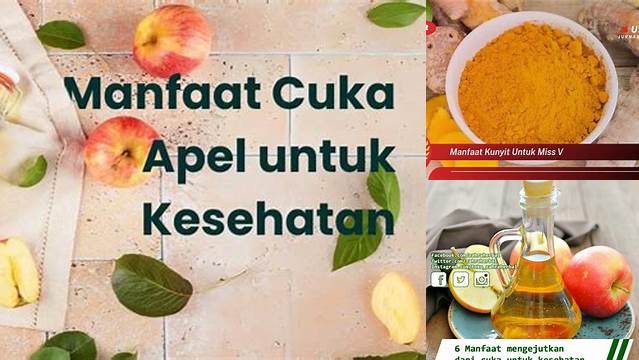 Manfaat Cuka untuk Miss V yang Jarang Diketahui, Wajib Diketahui!