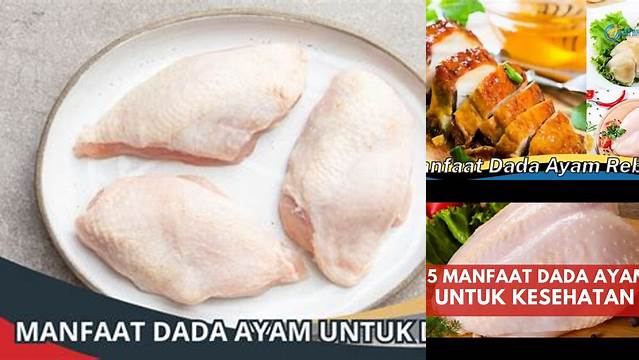 Manfaat Dada Ayam yang Jarang Diketahui