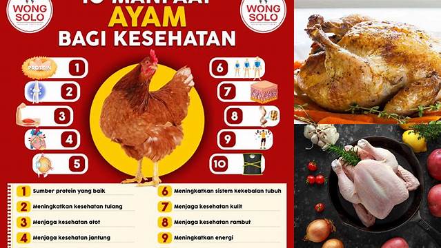 5 Manfaat Daging Ayam yang Jarang Diketahui