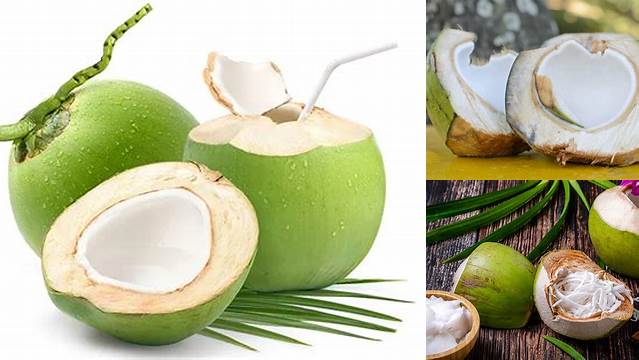 Temukan Manfaat Daging Buah Kelapa yang Jarang Diketahui