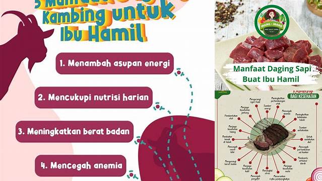 Temukan Beragam Manfaat Daging Kambing yang Jarang Diketahui untuk Ibu Hamil