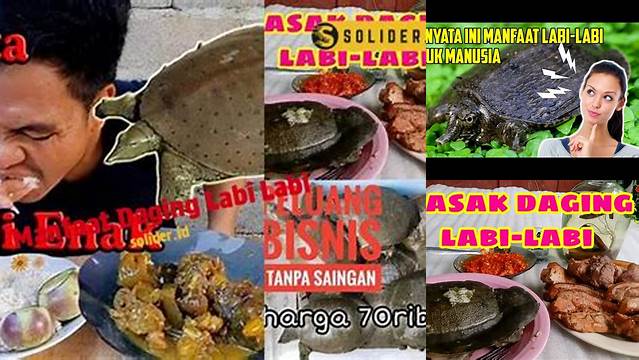 Manfaat Daging Labi-Labi yang Wajib Anda Ketahui