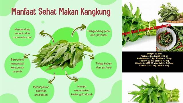 Temukan Rahasia Kangkung: Manfaat dan Kandungan Penting yang Jarang Diketahui