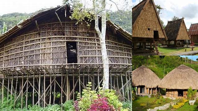 Temukan Manfaat Rumah Adat Papua yang Jarang Diketahui