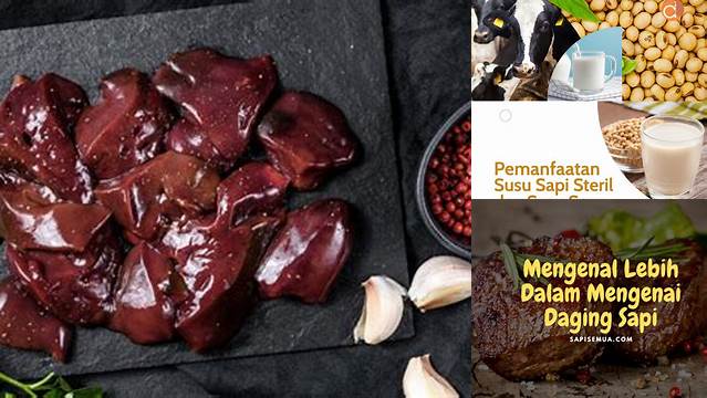 Terungkap Manfaat Darah Sapi yang Jarang Diketahui