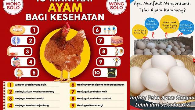 Temukan Manfaat Ayam yang Jarang Diketahui, Anda Pasti Terkejut!