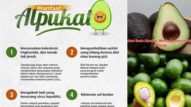 Temukan 7 Manfaat Buah Alpukat yang Jarang Diketahui