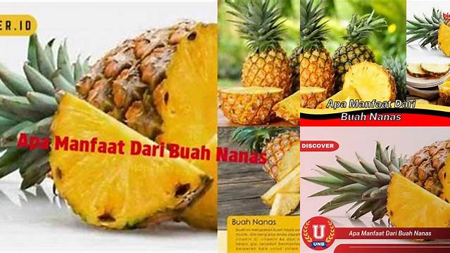 Temukan Manfaat Buah Nanas Jarang Diketahui