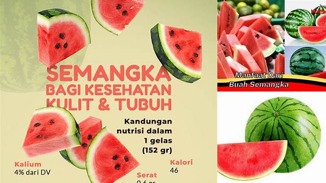 Manfaat Buah Semangka: Temukan Rahasia Kesehatannya yang Jarang Diketahui