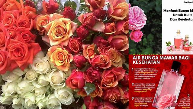 Temukan Manfaat Bunga Mawar yang Jarang Diketahui