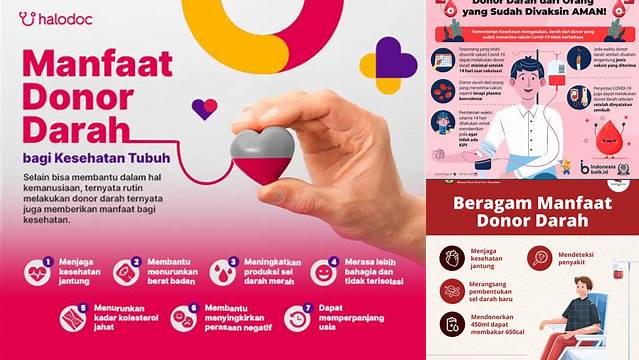 Manfaat Donor Darah yang Jarang Diketahui yang Harus Anda Tahu