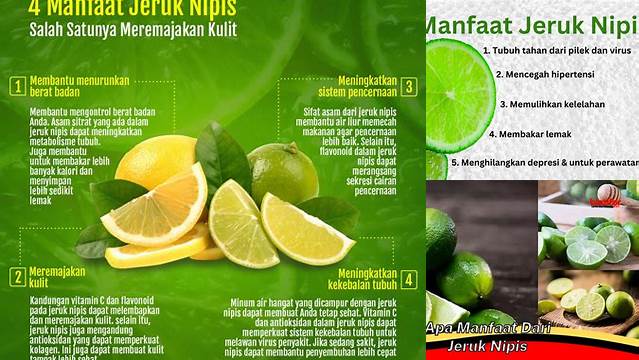 Manfaat Jeruk Nipis yang Tak Terduga yang Jarang Diketahui