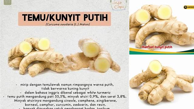 Temukan 5 Manfaat Kunyit Putih yang Jarang Diketahui