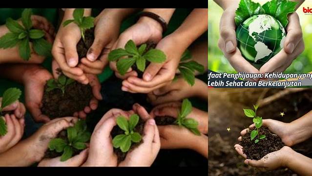 10 Manfaat Penghijauan yang Langka Diketahui