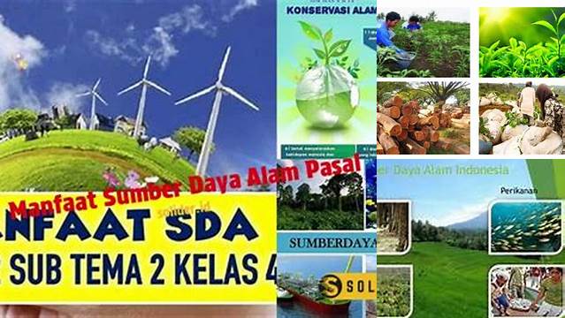 Temukan Manfaat Sumber Daya Alam yang Jarang Diketahui