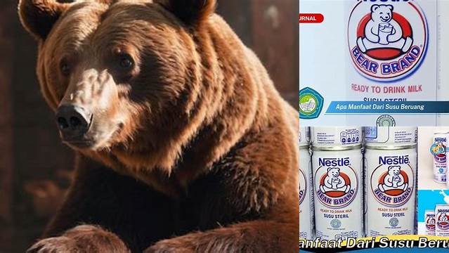 Temukan Manfaat Susu Beruang yang Jarang Diketahui, Menakjubkan!