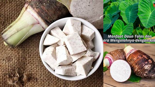 Manfaat Talas yang Perlu Anda Tahu, Jarang Diketahui!