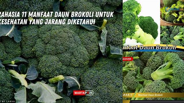 Manfaat Daun Brokoli yang Tak Terduga dan Perlu Diketahui