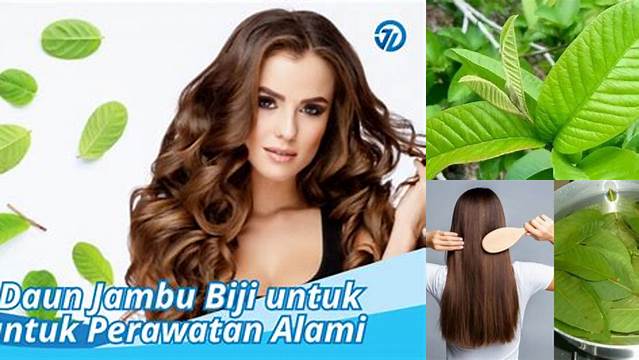 Manfaat Daun Jambu Biji untuk Rambut: Temukan Rahasia Tersembunyi!