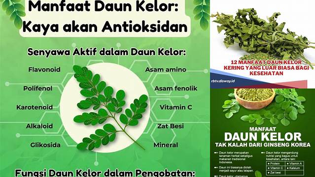 Buka Rahasia Daun Kelor Kering, Khasiatnya Jarang Diketahui!