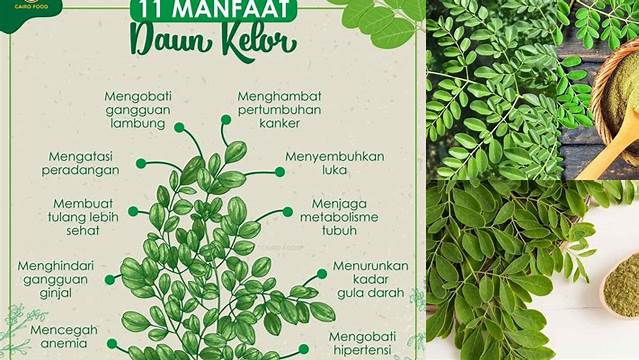 Temukan Manfaat Daun Kelor untuk Anak yang Jarang Diketahui