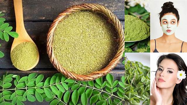 Unveil Manfaat Daun Kelor untuk Wajah yang Perlu Anda Ketahui