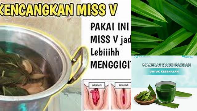 9 Manfaat manfaat daun pandan untuk miss v Rahasia Sehat Alami Wanita