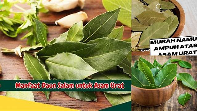 Temukan Manfaat Daun Salam untuk Asam Urat yang Menakjubkan