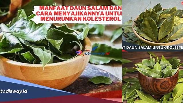 10 Khasiat Daun Salam untuk Kolesterol yang Jarang Diketahui