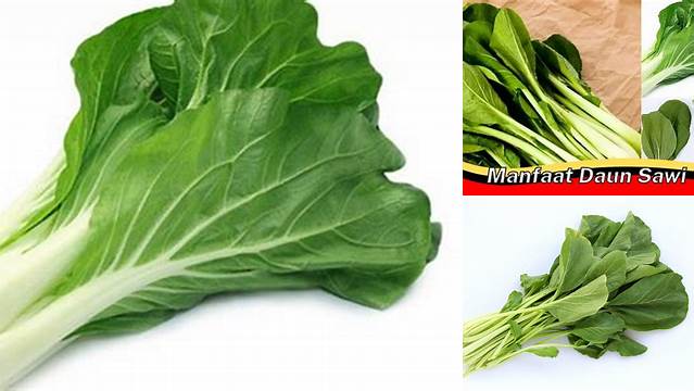 8 Manfaat Daun Sawi, Rahasia Sehat Alami