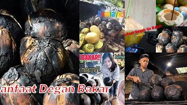 Temukan 5 Manfaat Degan Bakar yang Jarang Diketahui