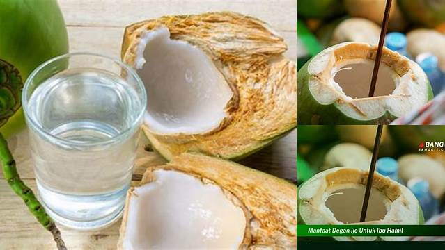 Manfaat Degan Ijo untuk Ibu Hamil, Jarang Diketahui!