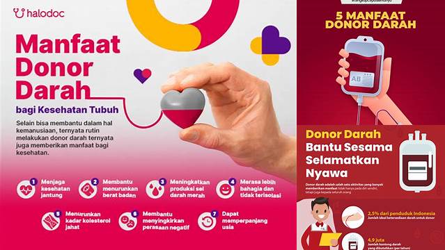 Temukan 10 Manfaat Donor Darah yang Perlu Anda Ketahui!