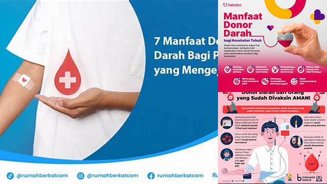 Manfaat Donor Darah Bagi Pria yang Jarang Diketahui