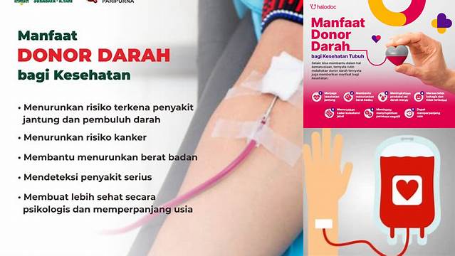 Temukan 9 Manfaat Donor Darah dalam Islam yang Perlu Anda Ketahui