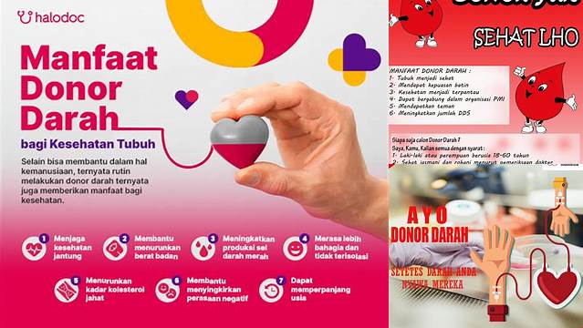 Manfaat Donor Darah untuk Ginjal yang Jarang Diketahui