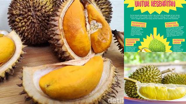 Temukan Manfaat Durian Bagi Kesehatan yang Jarang Diketahui
