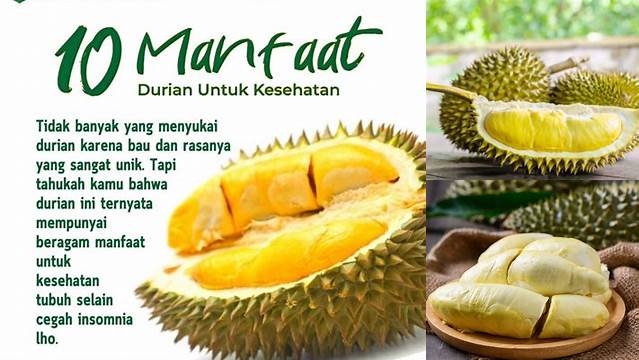 Temukan 9 Manfaat Buah Durian yang Jarang Diketahui