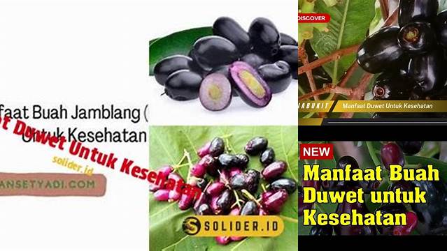 Temukan Khasiat Kesehatan Duwet yang Wajib Anda Ketahui