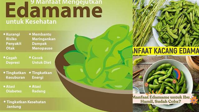 Manfaat Edamame untuk Wanita, Temukan Berbagai Faedahnya