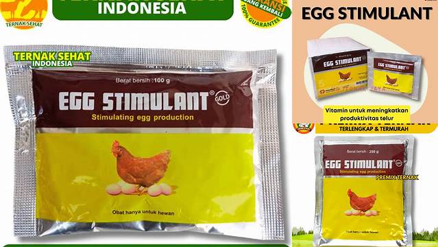 Manfaat Egg Stimulant untuk Burung: Penemuan dan Wawasan Jarang Diketahui